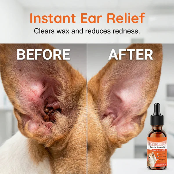 🎈50% OFF NOW ! ✨ Gentle Dog Ear Drops – Daily Cleaning &amp; Odor Control ✨
